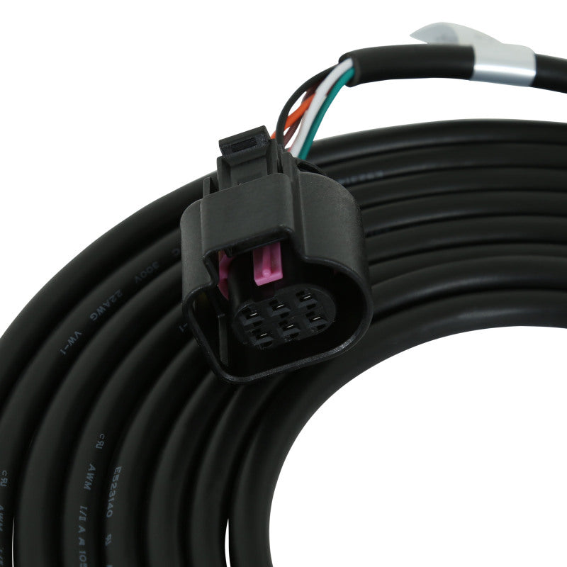 AEM Sensor Harness for 30-0300 X-Series Wideband Gauge — Photo - Close Up
