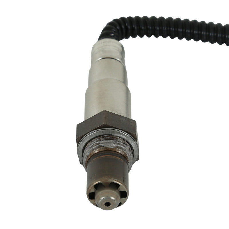 AEM Universal Wideband UEGO Sensor with Stainless Manifold Bung Install Kit — Photo - Close Up