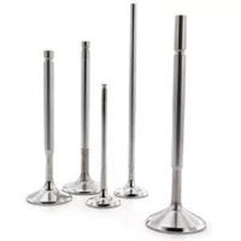 Load image into Gallery viewer, Ferrea 84-04 Harley-Davidson Evolution 1.94in Head 0.31in Stem Dia Comp Intake Valve - Set of 2