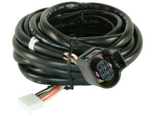 Load image into Gallery viewer, AEM Replacement Sensor Harness for Digital Wideband Gauge (30-4110) — Photo - Primary