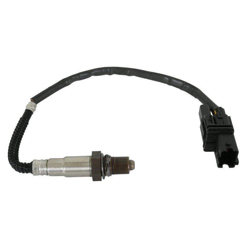 AEM Universal Wideband UEGO Sensor with Stainless Manifold Bung Install Kit — Photo - out of package