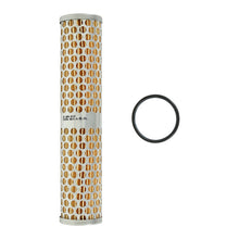 Load image into Gallery viewer, AEM Universal High Volume Fuel Filter Element — Photo - Primary