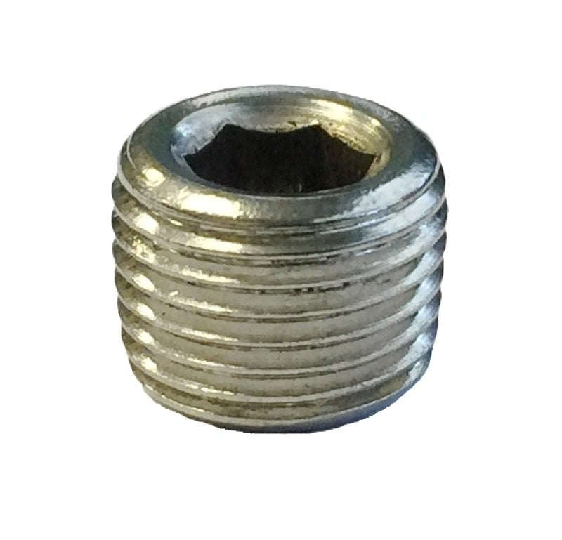 Torque Solution Stainless Steel 1/8 in NPT Plug: Universal Single Plug