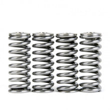 Load image into Gallery viewer, Skunk2 Alpha Series Honda/Acura D Series Valve Spring and Titanium Retainer Kit