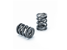 Load image into Gallery viewer, Supertech Honda H22A1/H22A4 Dual Valve Spring - Set of 16
