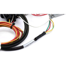 Load image into Gallery viewer, Hybrid Racing K-Series Swap Conversion Wiring Harness (01-05 Civic) HYB-CWH-01-30