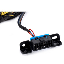 Load image into Gallery viewer, Hybrid Racing Universal K-Series Swap Conversion Wiring Harness HYB-CWH-01-99